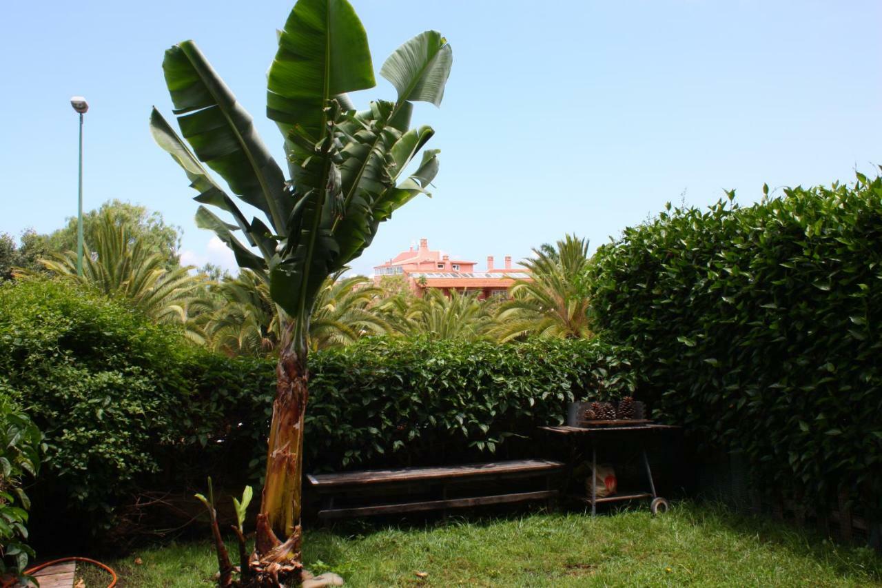 Apartamentos con jardin y pescina Puerto de la Cruz  Exterior foto